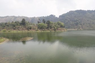 Prevén disminución de contaminación ambiental por cuarentena