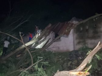 Árboles dañan 16 viviendas en El Progreso