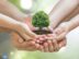 Cinco consejos para cuidar tu medio ambiente