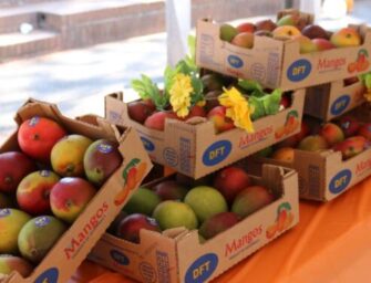 Este 2 de abril realizarán el cuarto Festival del Mango en la zona 13 de la capital