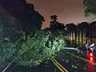 Caída de árbol y poste bloquea el paso en la Avenida Hincapié, zona 13