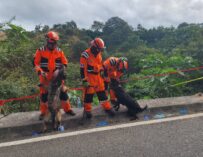 Hallan al menos diez cuerpos en zona boscosa de la zona 25 de Guatemala