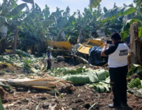 Muere piloto en accidente aéreo durante labores de fumigación en Escuintla