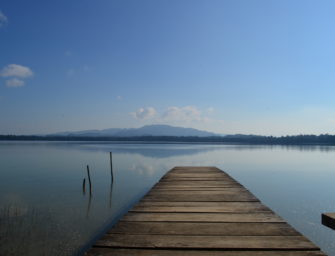 Un paraíso selvático