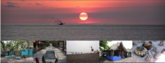 Hay varias razones para visitar Monterrico