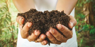 80% de los alimentos del país depende de los pequeños productores