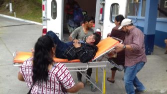 Hombre es mordido por «viuda negra»