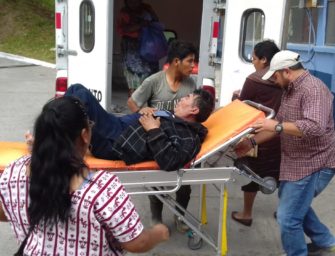 Hombre es mordido por «viuda negra»