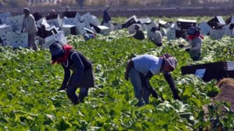 La voluntad del valor agregado en el exterior