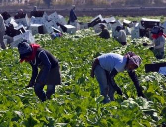 La voluntad del valor agregado en el exterior