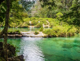 Aprecia la majestuosidad de la naturaleza en Semuc Champey