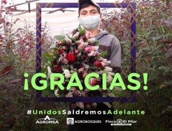 Floricultores logran vender 1,135 docenas de flores en medio de la crisis