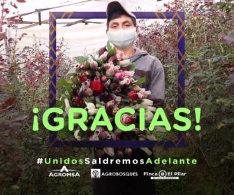 Floricultores logran vender 1,135 docenas de flores en medio de la crisis