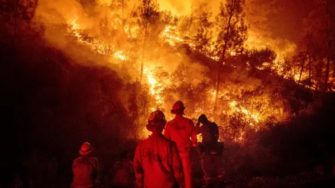 Ellos luchan contra los siniestros en las montañas: Hoy Día del Bombero Forestal