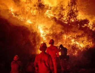 Ellos luchan contra los siniestros en las montañas: Hoy Día del Bombero Forestal