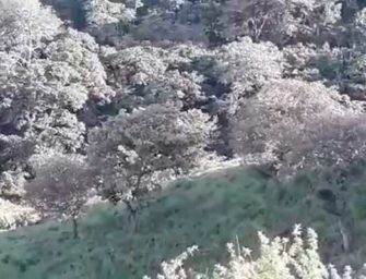 Video | Momento en que «coyotes» cruzan a migrantes a Guatemala en medio de la pandemia