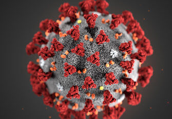 Guatemala llega a los 71 mil casos totales de coronavirus