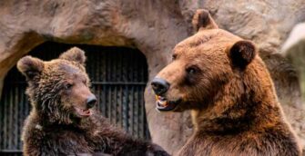 Ya puedes visitar de nuevo el Zoológico La Aurora
