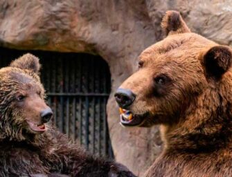 Ya puedes visitar de nuevo el Zoológico La Aurora