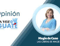 A veces el milagro se llama proceso