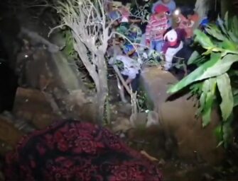 DETALLES | Accidente de tránsito deja fallecidos y heridos