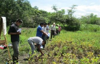 Ministerios buscan impulsar el desarrollo agrícola