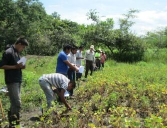 Ministerios buscan impulsar el desarrollo agrícola