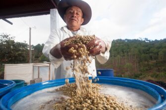 ¿Qué es la economía inclusiva? Un ejemplo en Guatemala