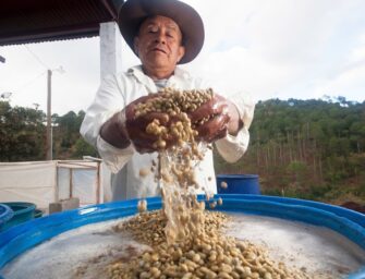 ¿Qué es la economía inclusiva? Un ejemplo en Guatemala