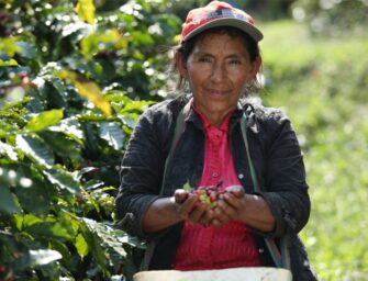 Hoy se celebra el Día de la Mujer Rural: 15 de octubre