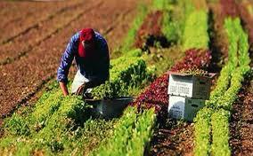 MAGA capacita a pequeños productores del país