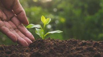 El Maga busca fortalecer agricultura en el país