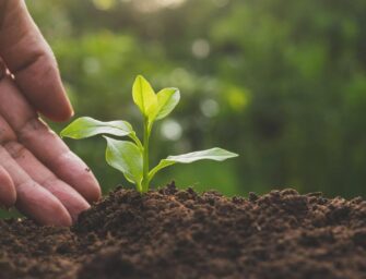 El Maga busca fortalecer agricultura en el país