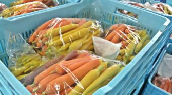 Es la Semana de Internacional de la Sanidad Vegetal