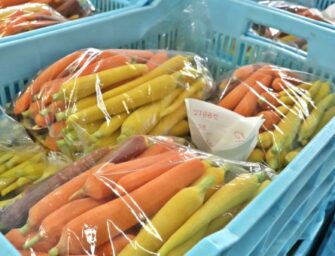 Es la Semana de Internacional de la Sanidad Vegetal