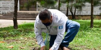 Programa Sembrando Huella reforesta 480 mil 41 hectáreas