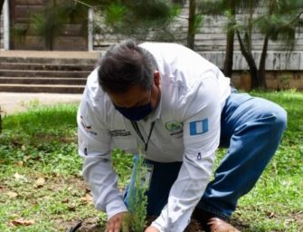 Programa Sembrando Huella reforesta 480 mil 41 hectáreas