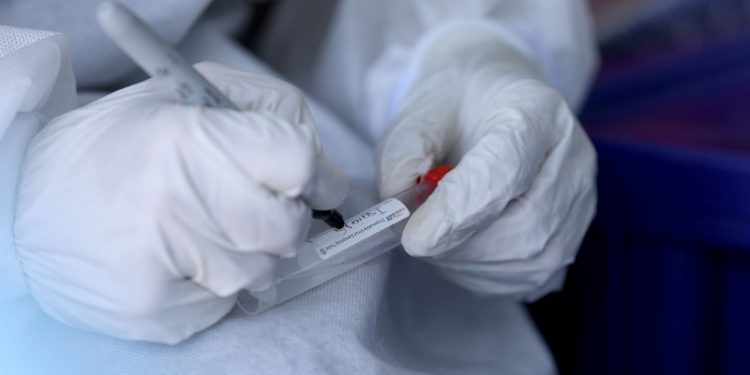 Pandemia