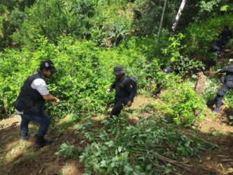 Q3 mil 550 millones se han decomisado en este 2020