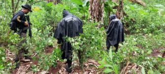 Incautan 283.7 millones en los primeros 22 días del 2021