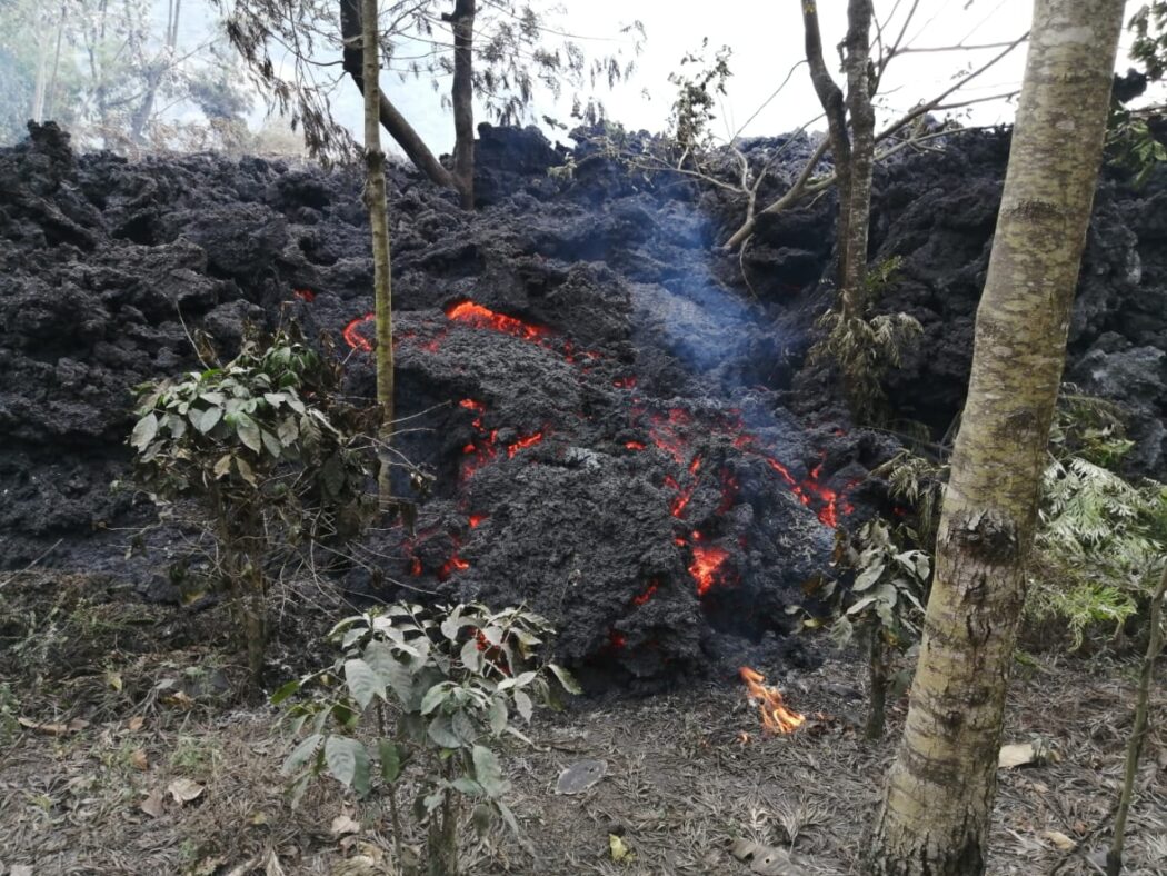 lAVA