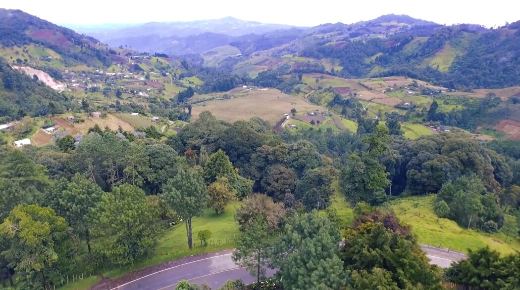 Jalapa