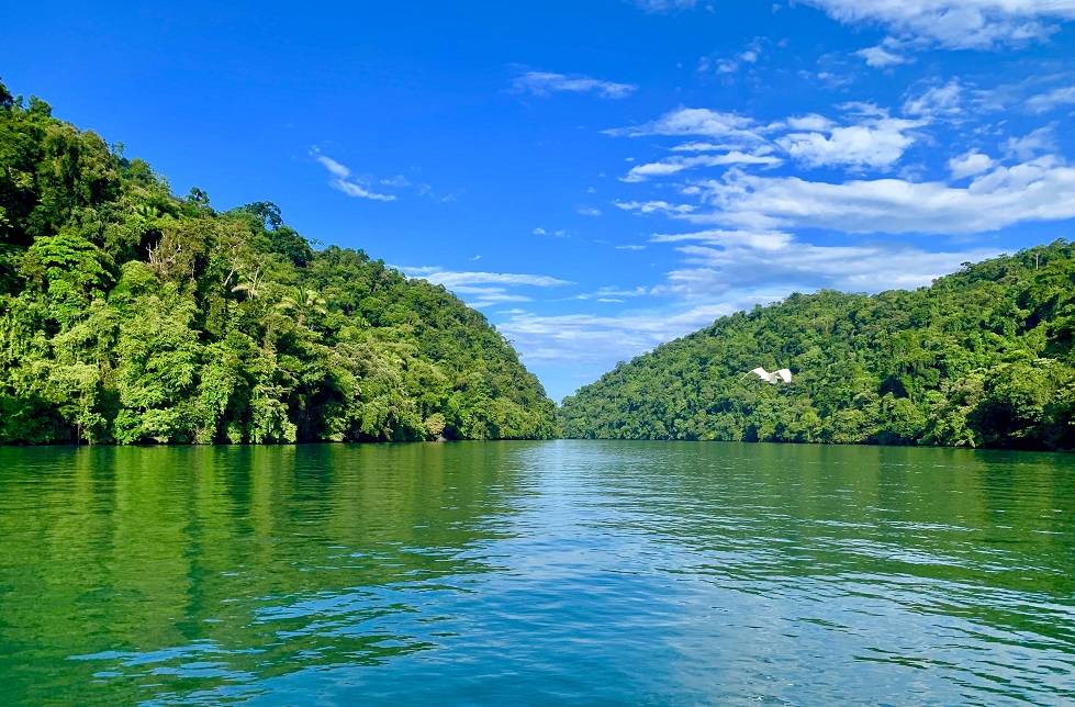 weyden-gonzalez-L2dNBYPBBgg-unsplash