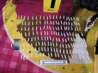 Los primeros resultados tras los allanamientos masivos de este miércoles