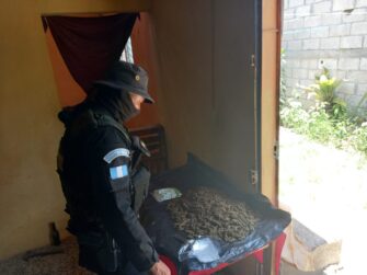 Realizan 136 allanamientos en contra del narcomenudeo