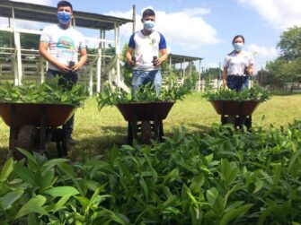 Pretenden que huertos familiares lleguen a 18 mil hogares en Guatemala