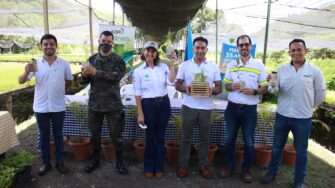 Contribuyen a la lucha contra el cambio climático donando de 100 mil árboles