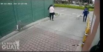VIDEO | Captan momento en que agreden a canino en Guatemala