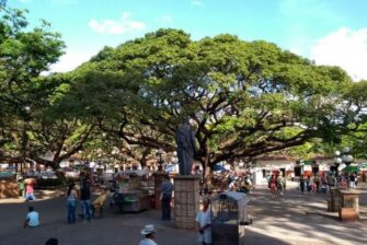 Amaranto; conoce más sobre el pueblo donde primos se enamoran y se casan.