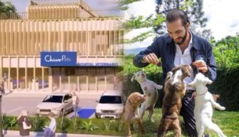 Construirán hospital veterinario con ganancias de bitcoin